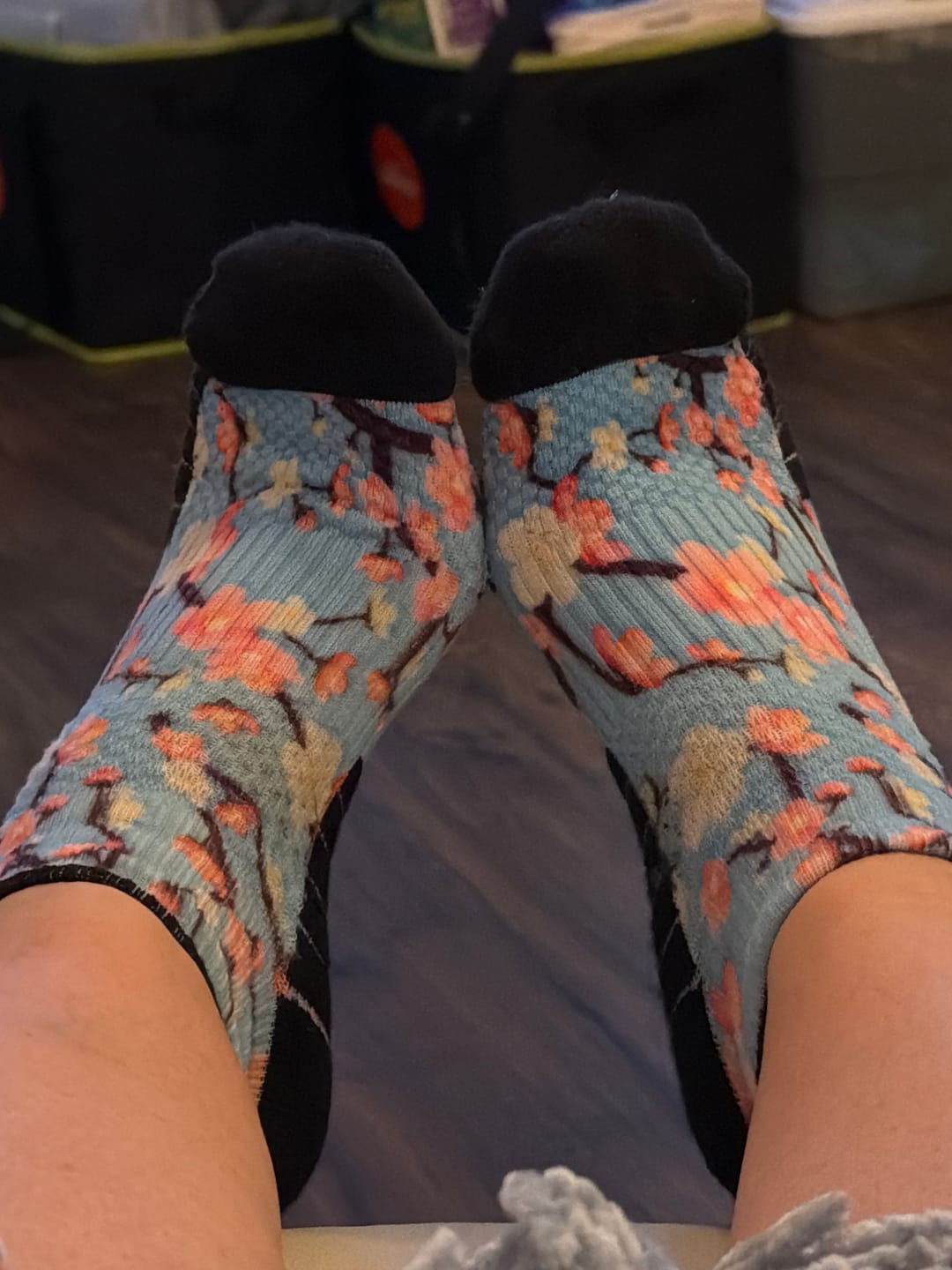 Customer photo review of Blooming Brights Ankle Compression Socks 5-Pack Bundle