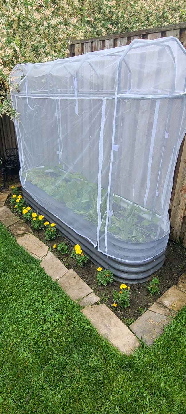 Customer photo review of Garden Cover System
