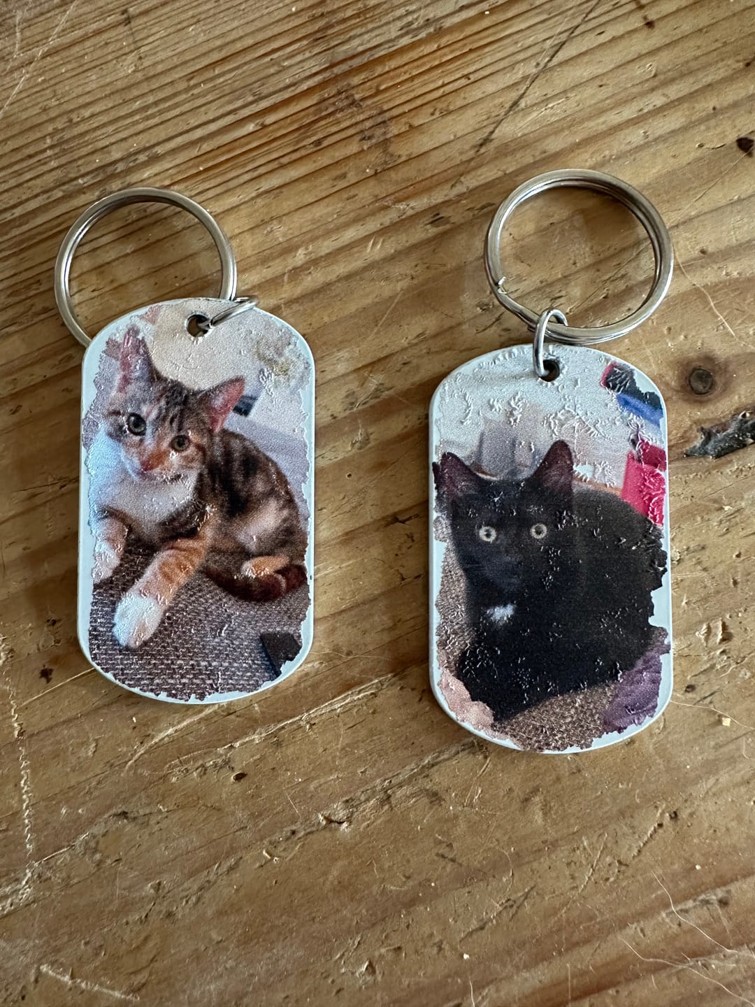 Customer photo review of Personalisierter Dog Tag Schlüsselanhänger - Für immer im Herzen mit Katze