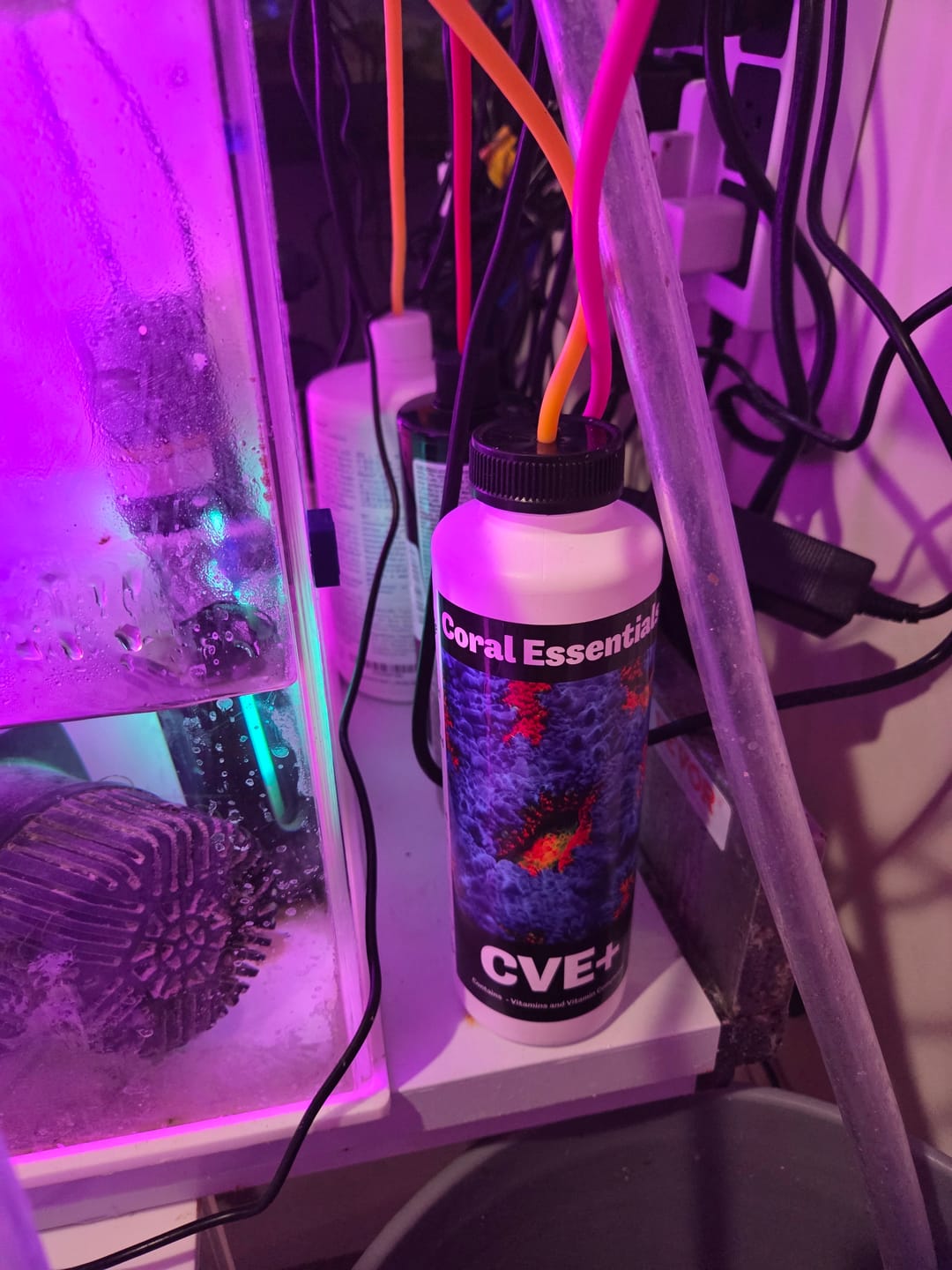 Customer photo review of Coral Essentials CVE+