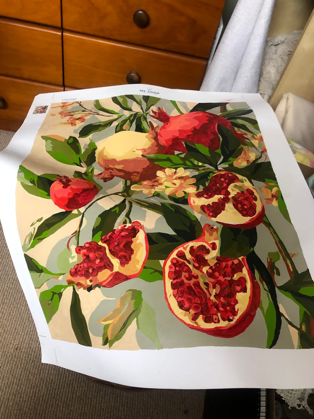 Customer photo review of Blooming pomegranates | Paint by Number