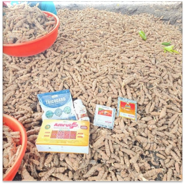 Customer photo review of Amrut Plus Seed Treatment Kit