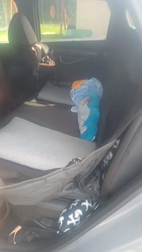 Customer photo review of Hard-Bottom Dog Car Seat Hammock — Steady Bed for Large & Senior Dogs