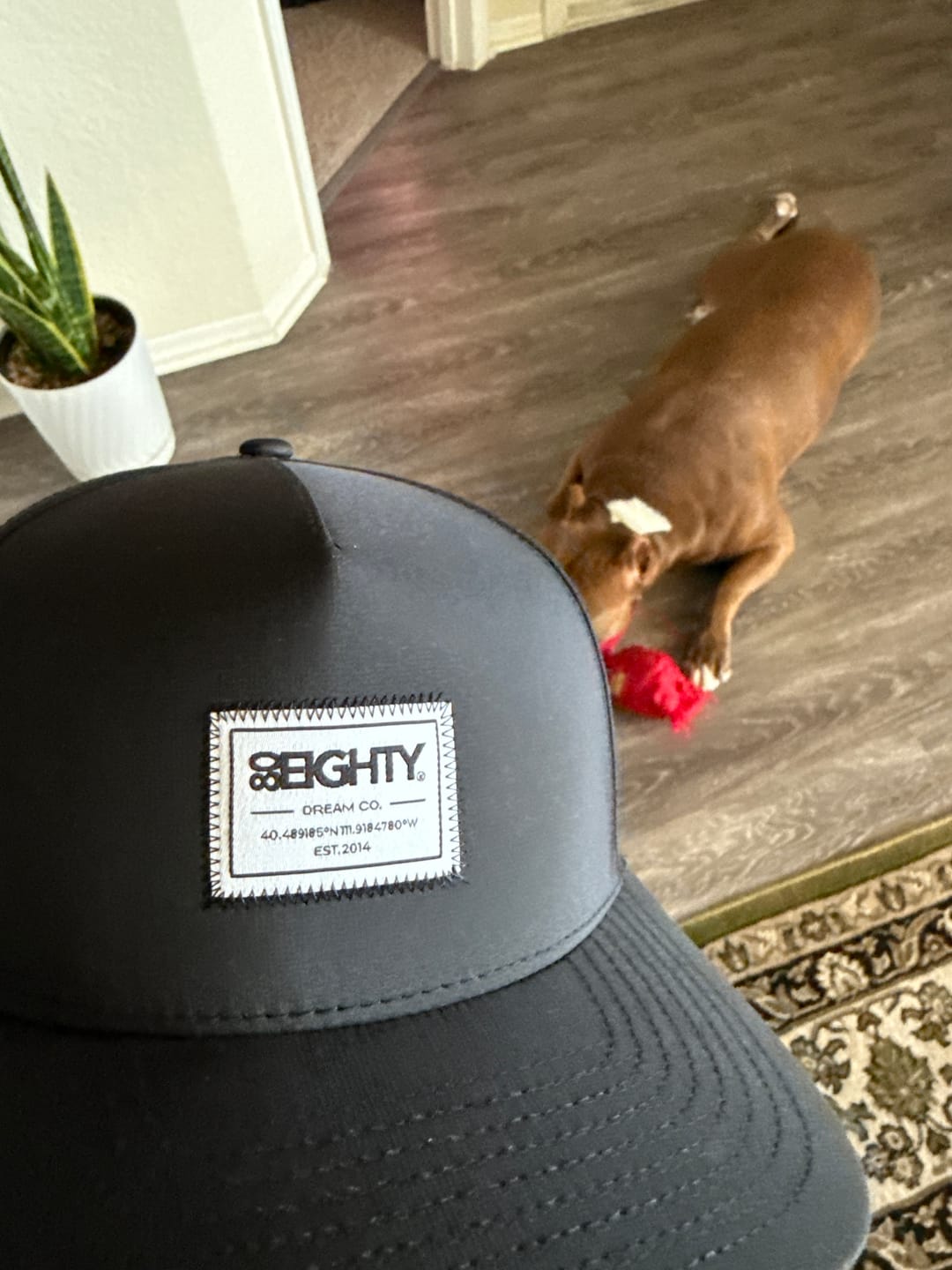 Customer photo review of 80Eighty® HQ Hat