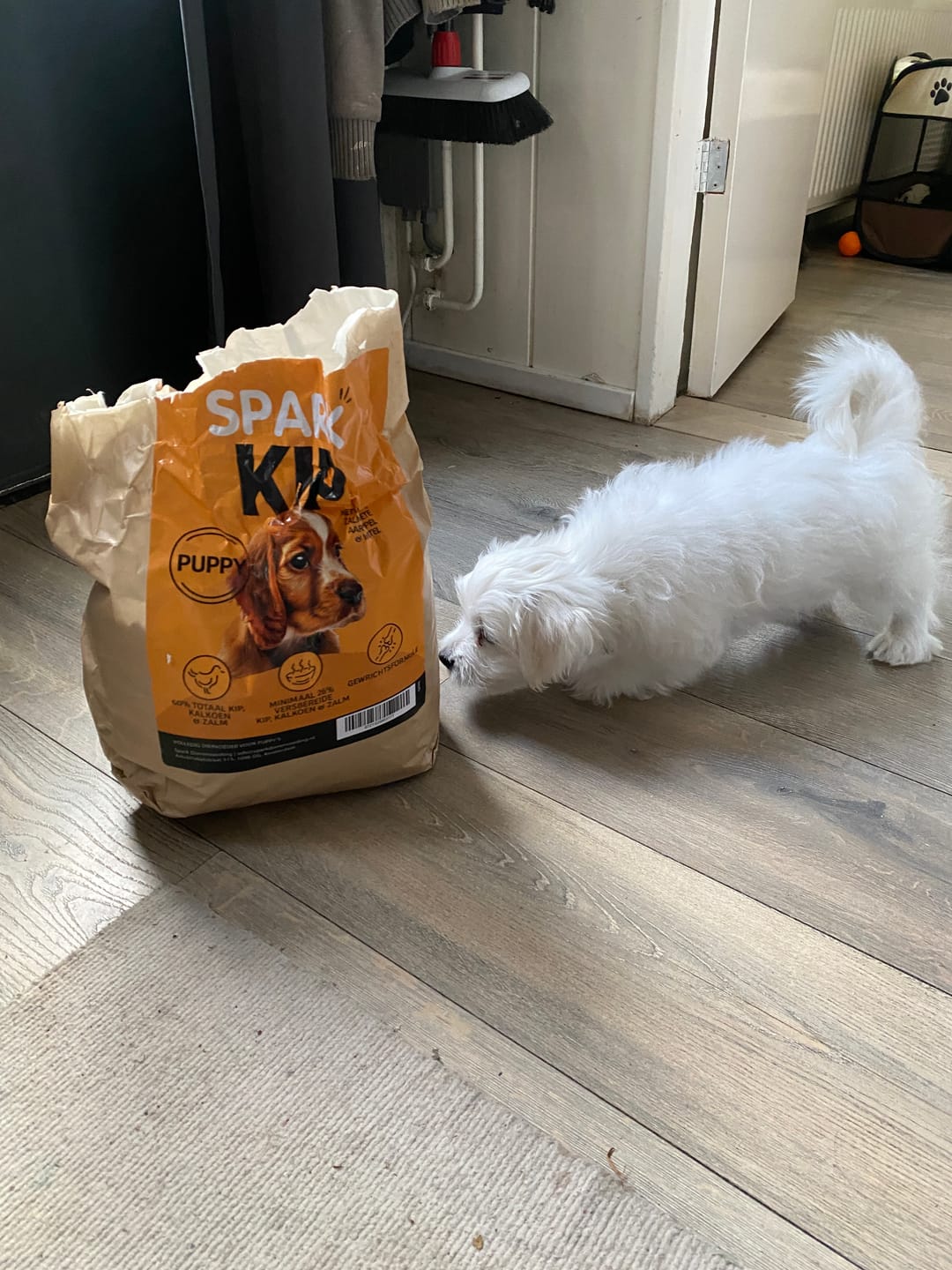 Customer photo review of Puppy - Kip met Kalkoen, Zalm, Zoete Aardappel & Wortel