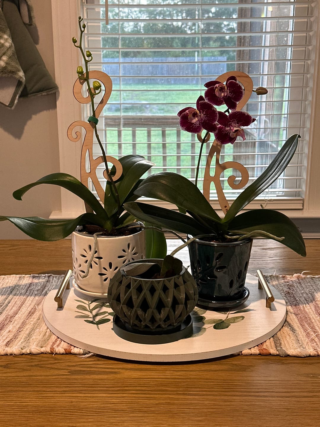 Customer photo review of BARE™ Flora™ - Customizable wooden plant support - Perfect for Orchids