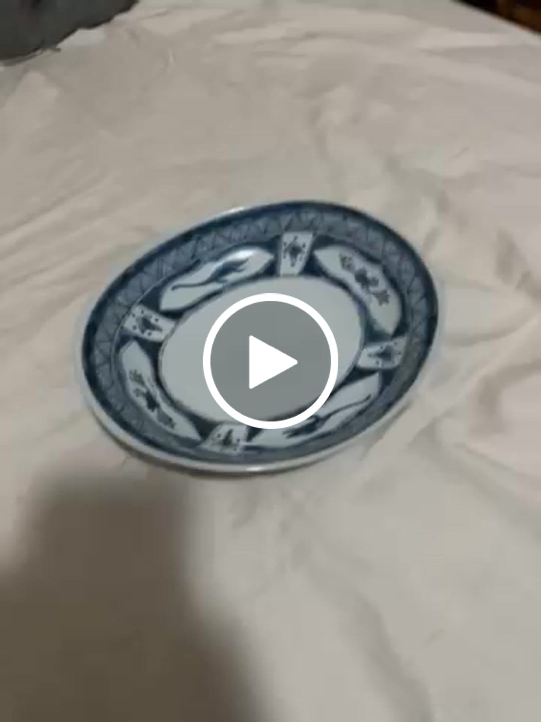 Customer video review of Edo-style Dinosaur Deep Oval Dish – Water Dragon