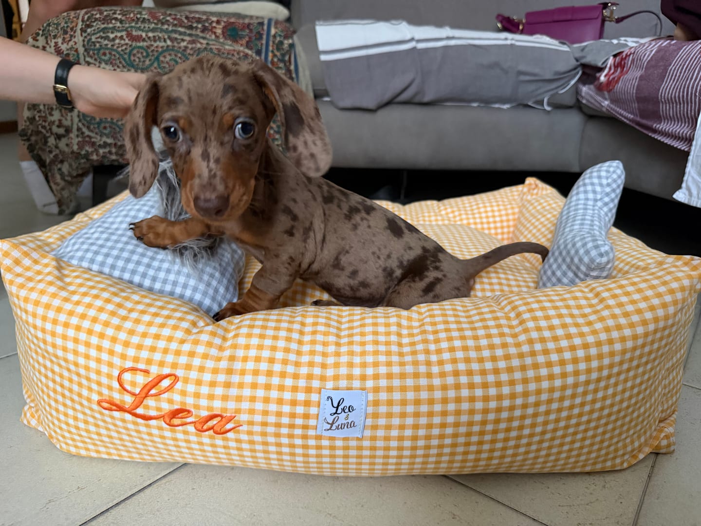 Customer photo review of Se hai richiesto il ricamo questo è il suo costo (NON RIMUOVERE)