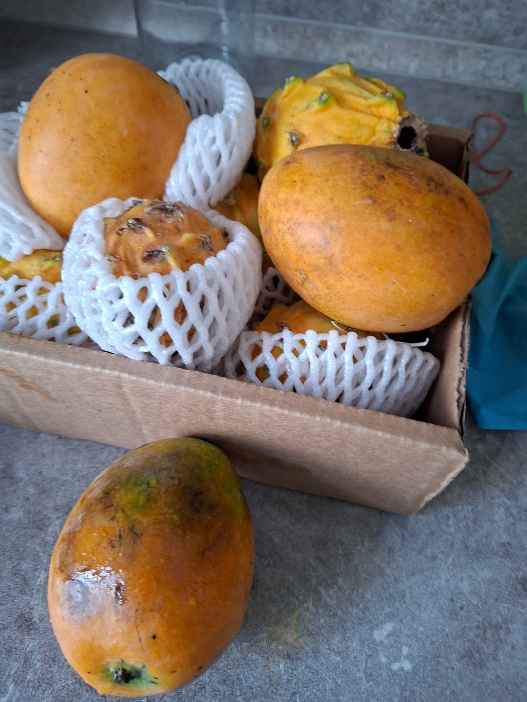 Customer photo review of Mango Mingolo baumgereift Sonderaktion % 2kg Box