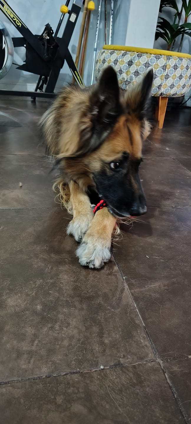 Customer photo review of PetFamily Foods