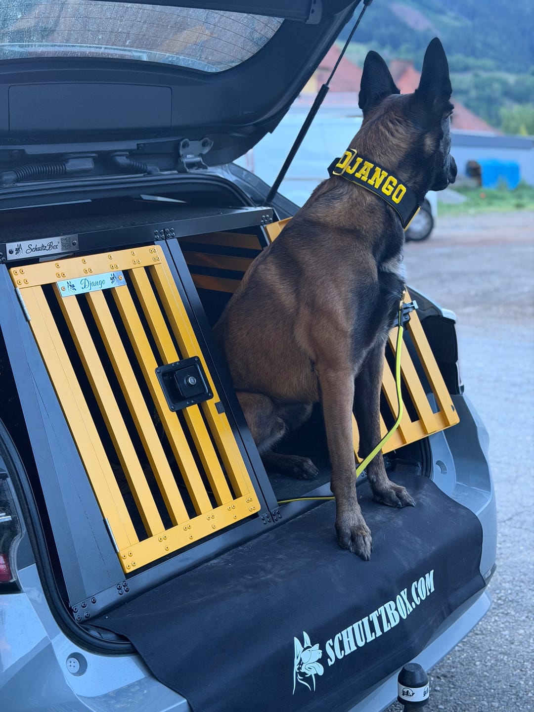 Customer photo review of 1.4m Lighter Swivel Combat Lead | Anti-Tangle & Secure Clip - Black x Yellow