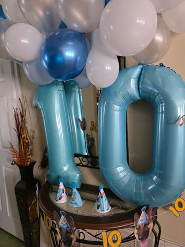 Customer photo review of Standard Personalized Dog Party Pack