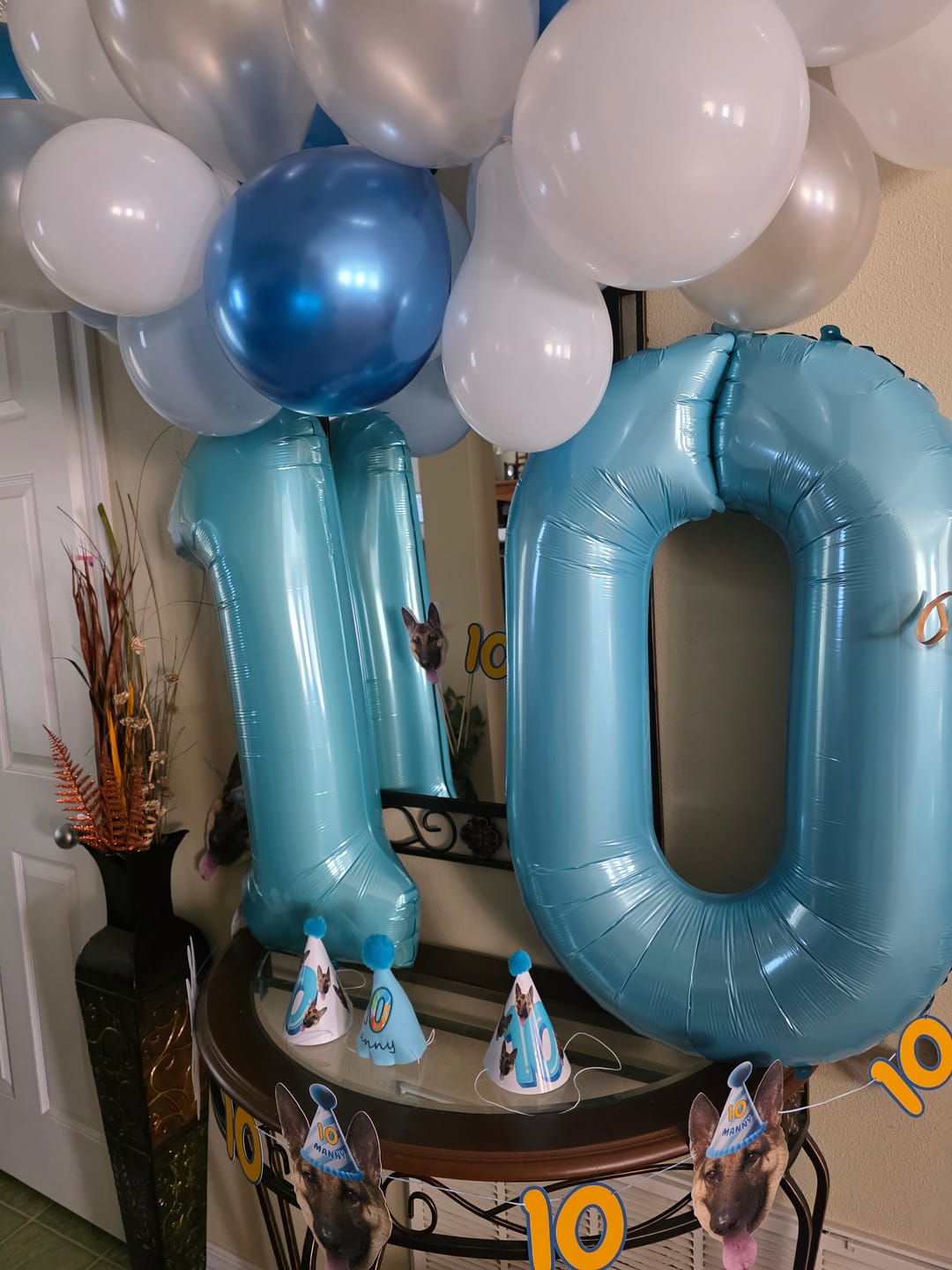 Customer photo review of Standard Personalized Dog Party Pack
