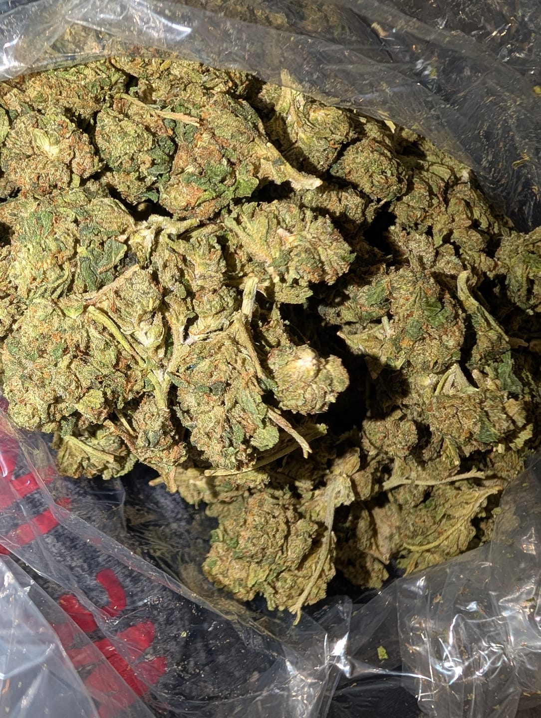 Customer photo review of Burger Breath - Bulk - Indica
