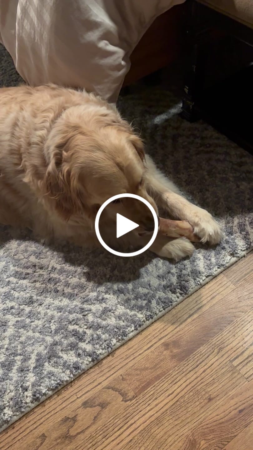 Customer video review of Smoked Beef Marrow Bone