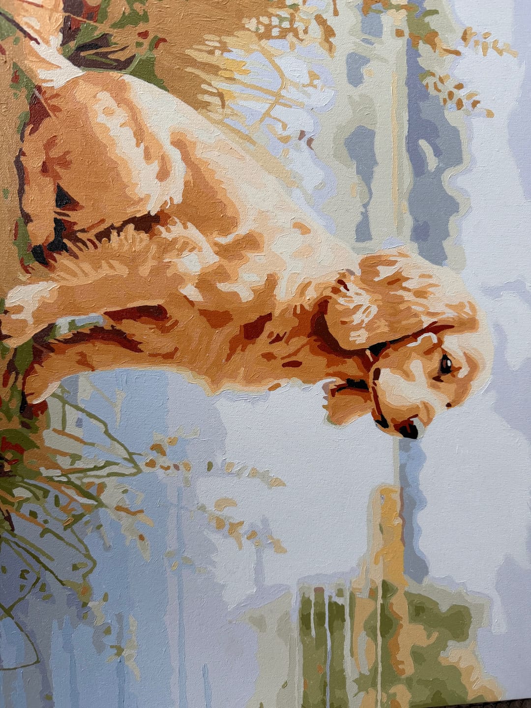 Customer photo review of Lake Spaniel