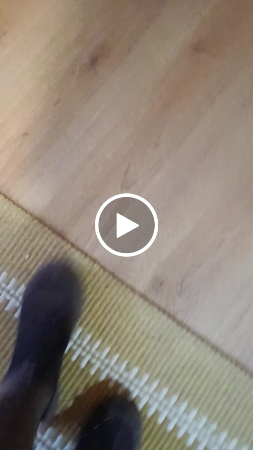 Customer video review of Zapatilla Versaknit Café Chocolate Unisex