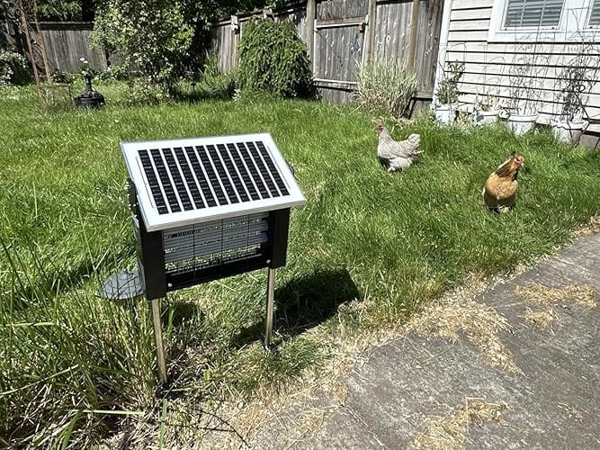 Customer photo review of Upgraded Solar Mosquito Killer Lamp-10W