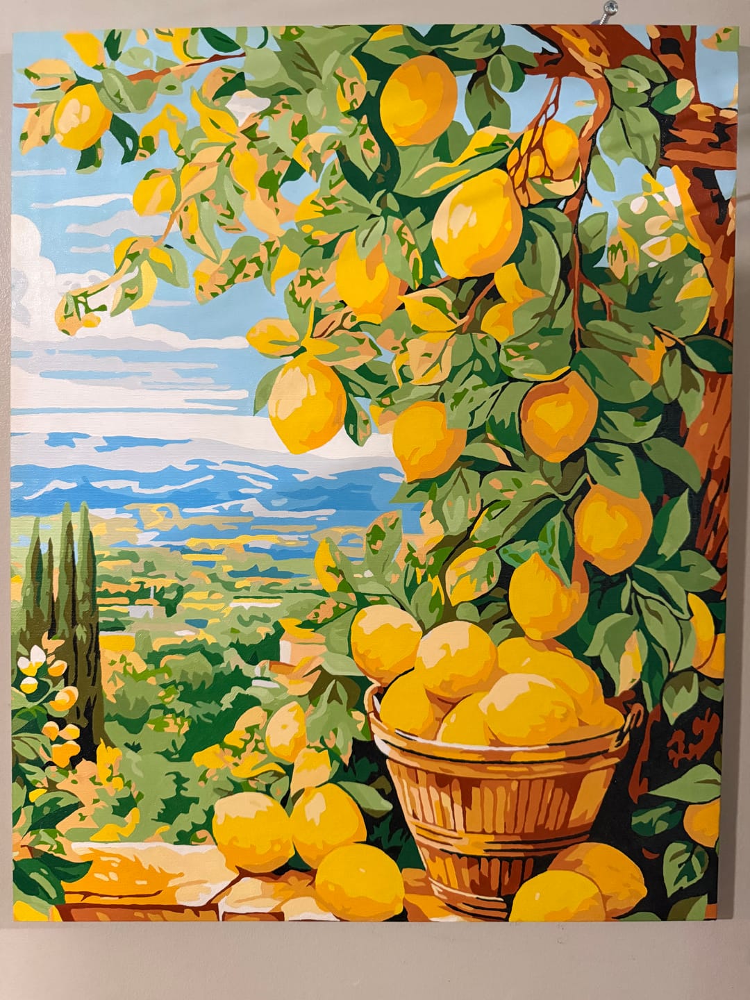Customer photo review of Bounty Lemons