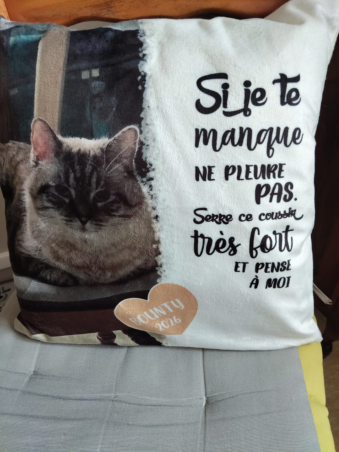 Customer photo review of Si je te manque - Coussin personnalisé