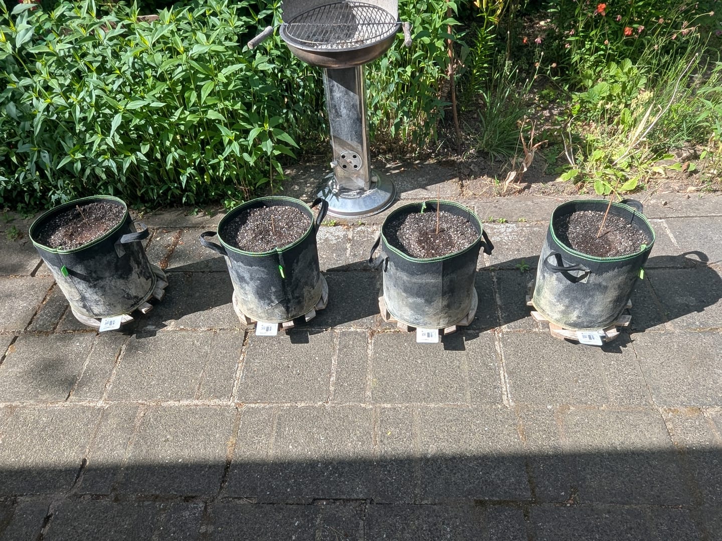 Customer photo review of Bio Hanferde 20L