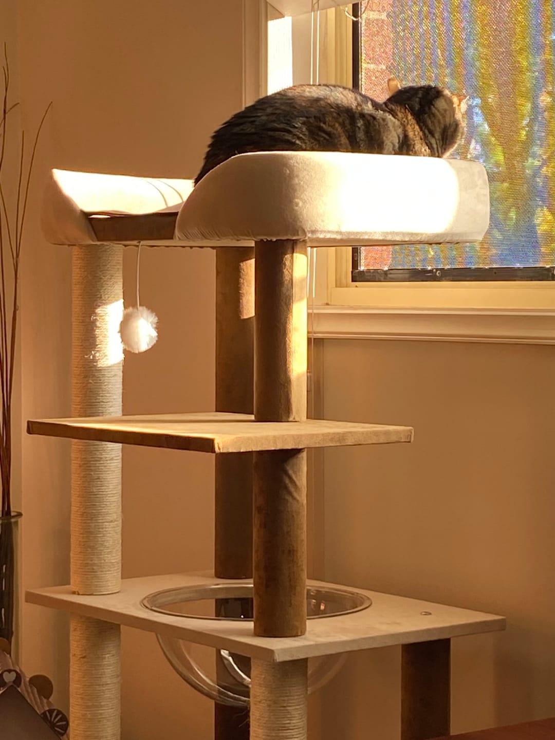 Customer photo review of Luxury Japanese-Style Cat Tree with Large Bed – 90906