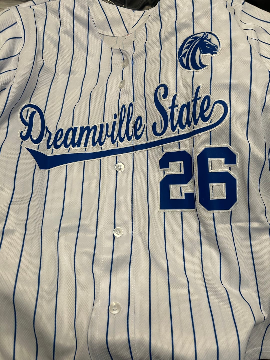 Customer photo review of Custom White Royal Stripe Fashion Authentic Baseball Jersey