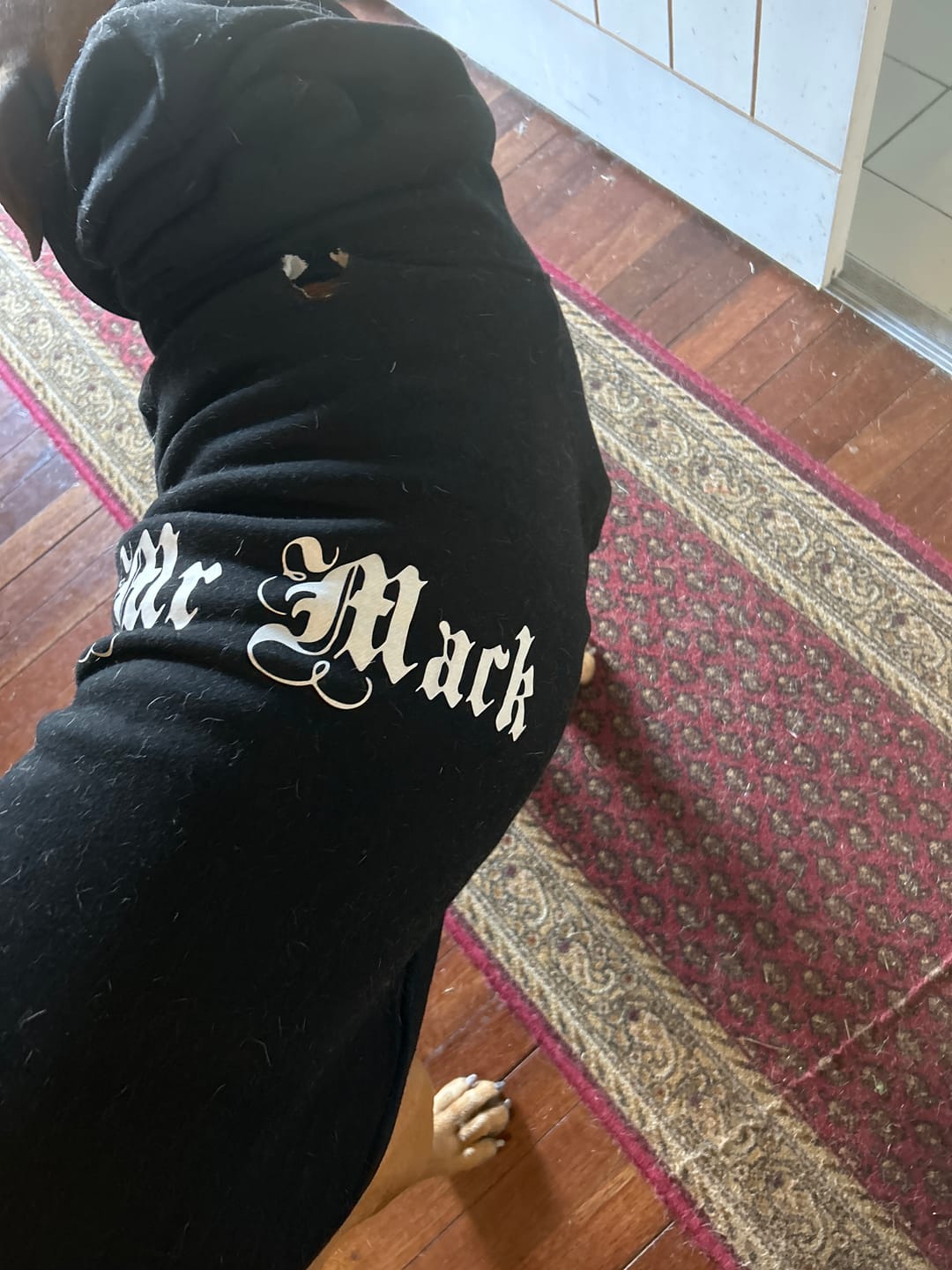 Customer photo review of Gangsta Yapper Dog Hoodie - Personalised