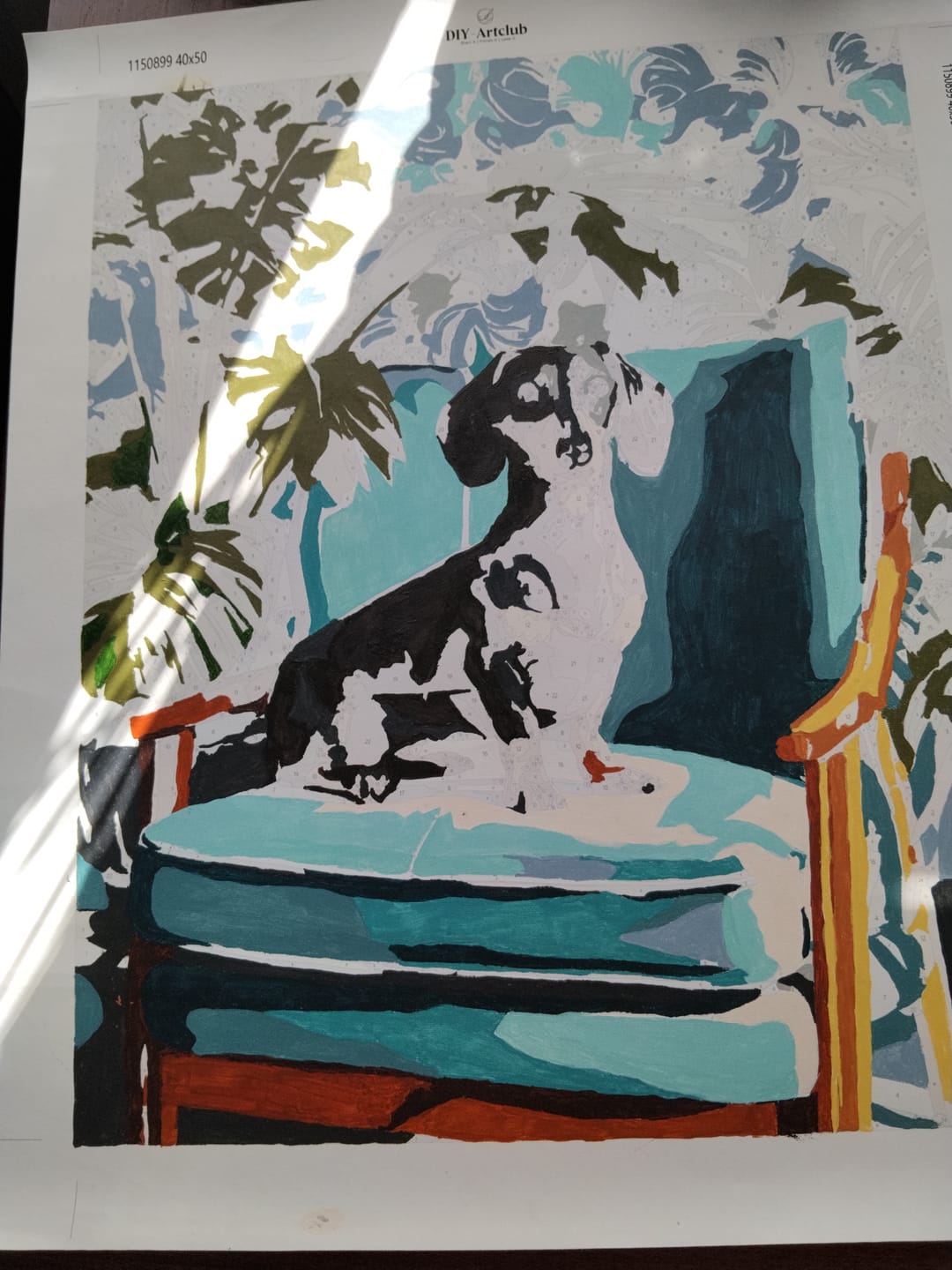 Customer photo review of A posing Dachshund | Paint by Number