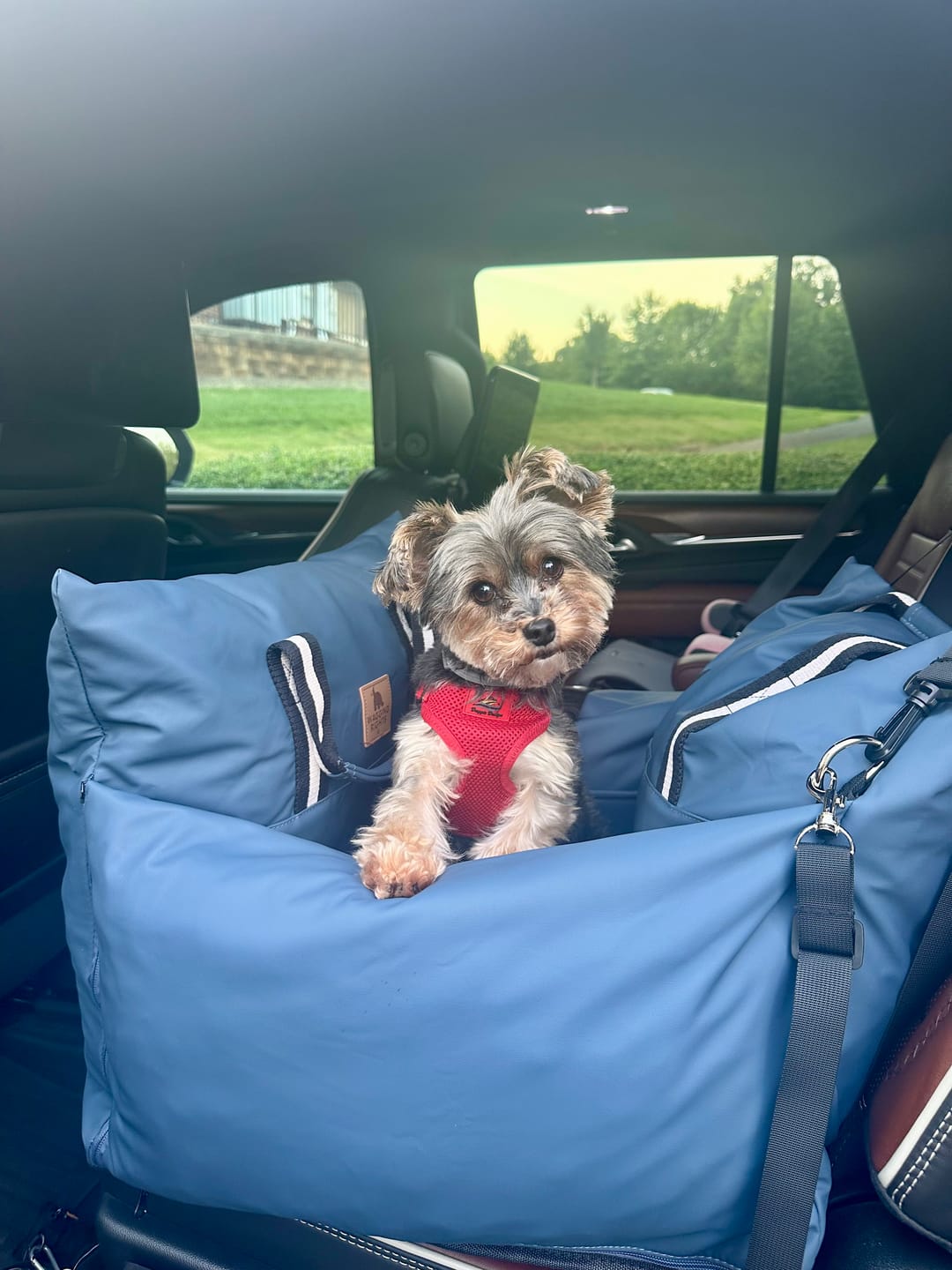 Customer photo review of The Dog Dock V2 New & Improved with LATCH / ISO FIX anchors