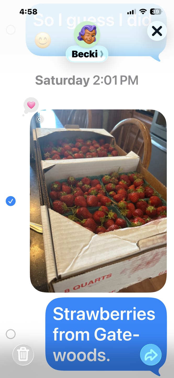 Customer photo review of Indiana Strawberries