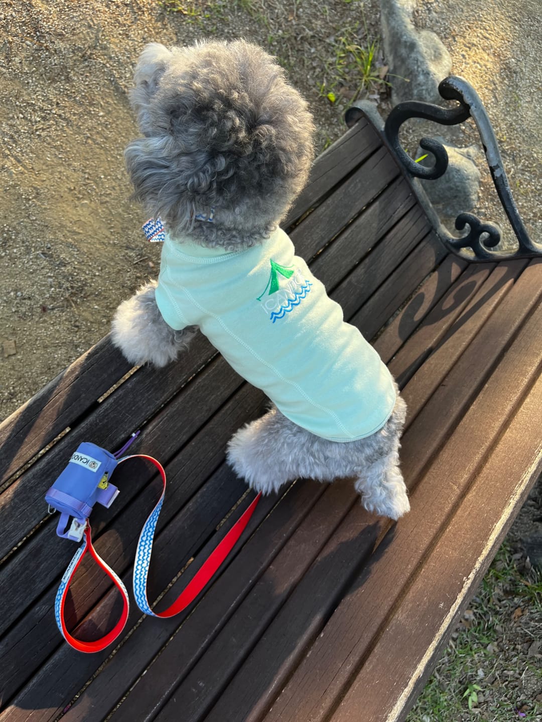 Customer photo review of Pooch Pouch_Ripple
