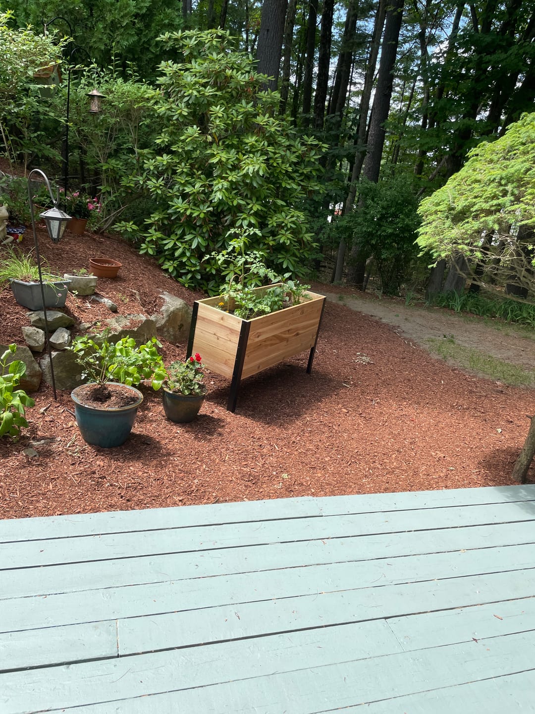 Customer photo review of 18" x 48" Raised Garden Bed - 30" TALL / Garden Grade