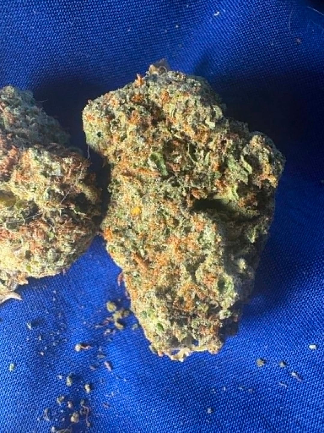 Customer photo review of Maui Wowie - 14 Grams Littles - Sativa