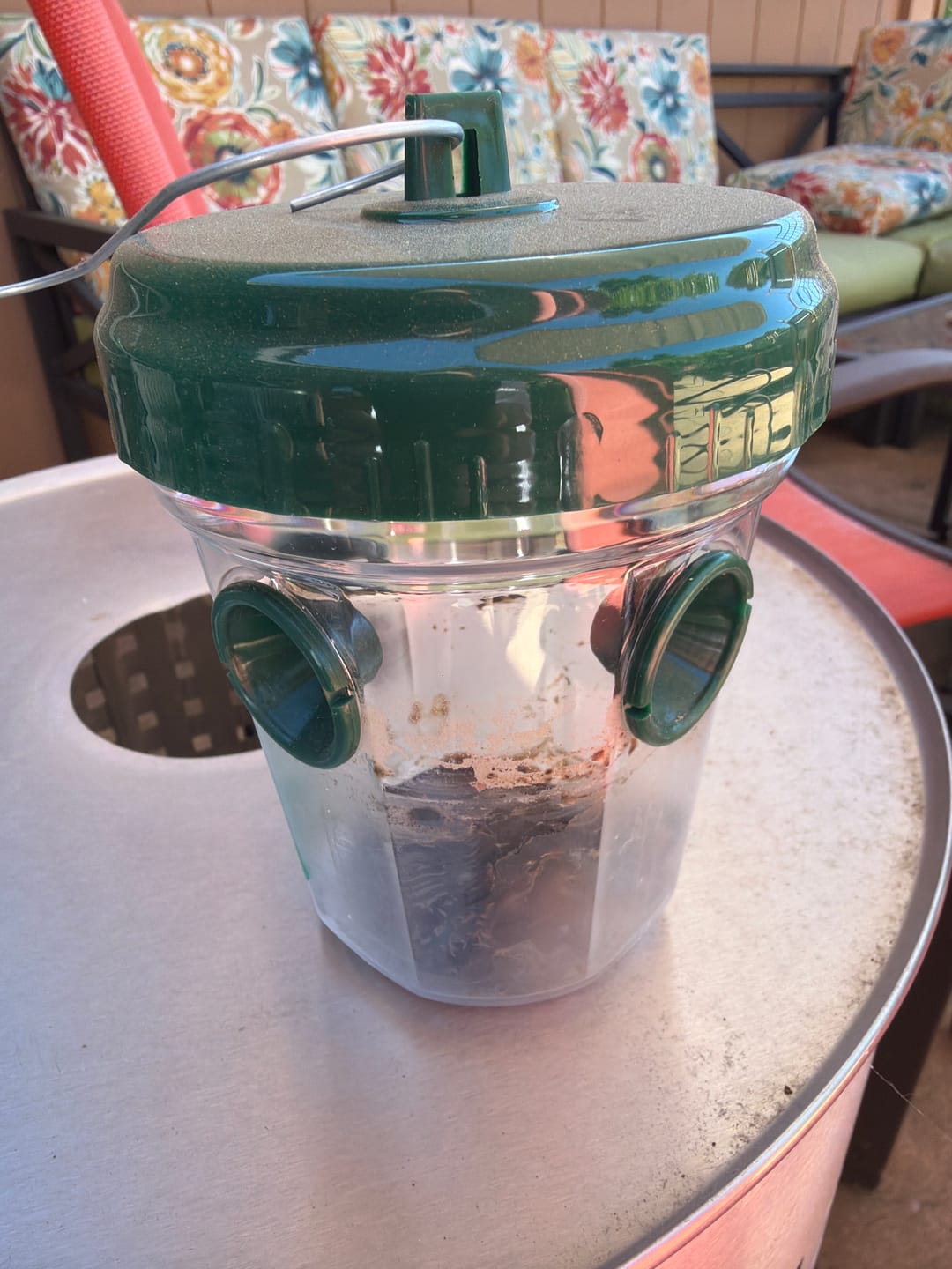 Customer photo review of Mosquito TNT 2.0