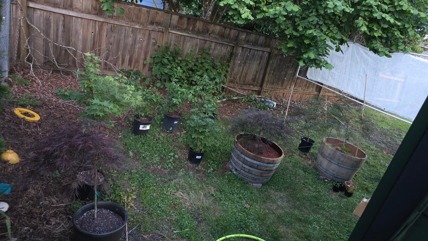 Customer photo review of 40% Shade Cloth