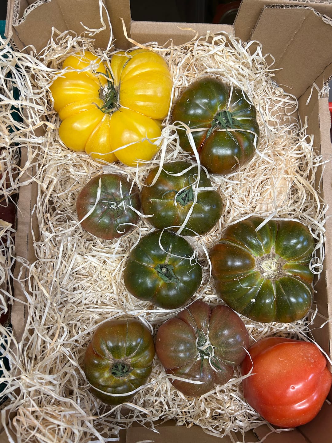 Customer photo review of Tomaten Mix von Julian Box 3kg Aktionswoche %