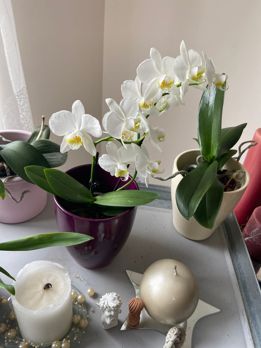 Customer photo review of Table Dance Weiß mit weißen Blüten und 2 Rispen