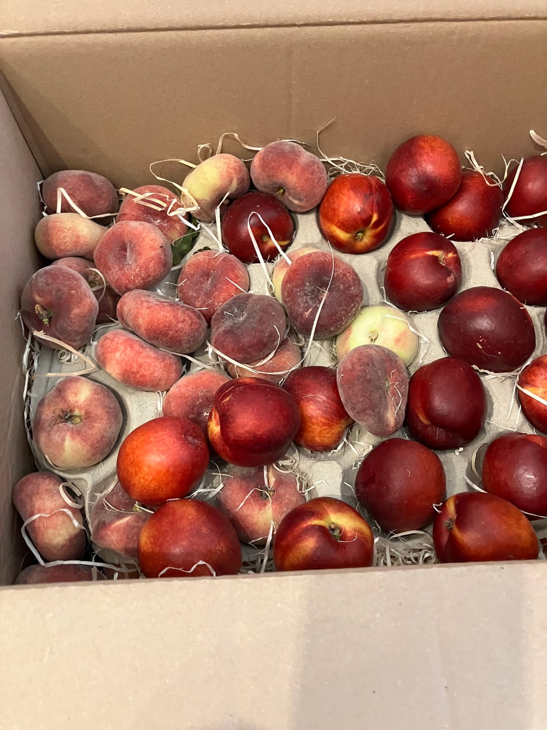 Customer photo review of Pfirsich & Nektarinen Bio von Jordi Retterbox 3kg