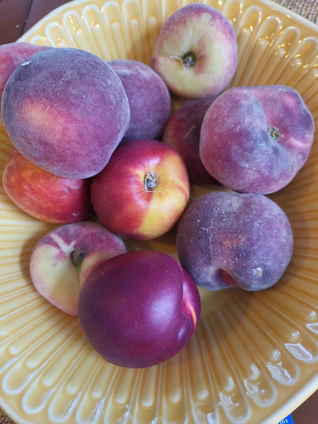 Customer photo review of Steinobst-Mix Bio "Sonnenküsse" Box