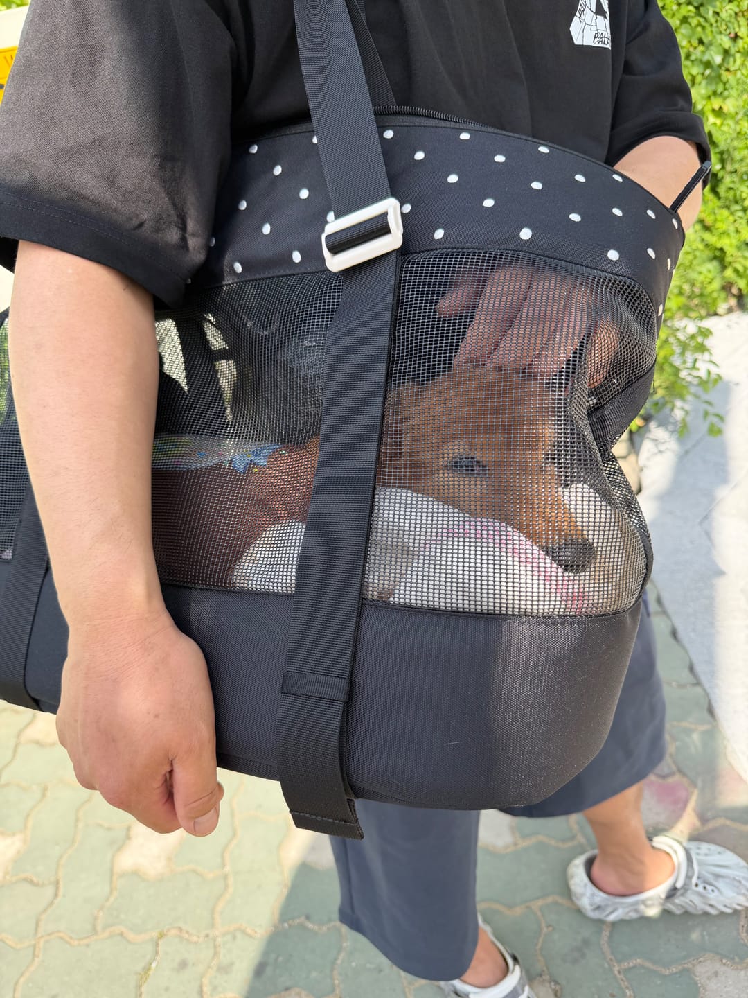 Customer photo review of Brisbane Bag_Capri Black