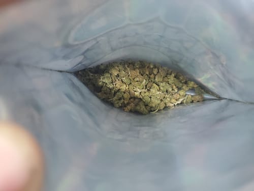 Raspberry Kush MICROS - 28 Grams - Indica photo review