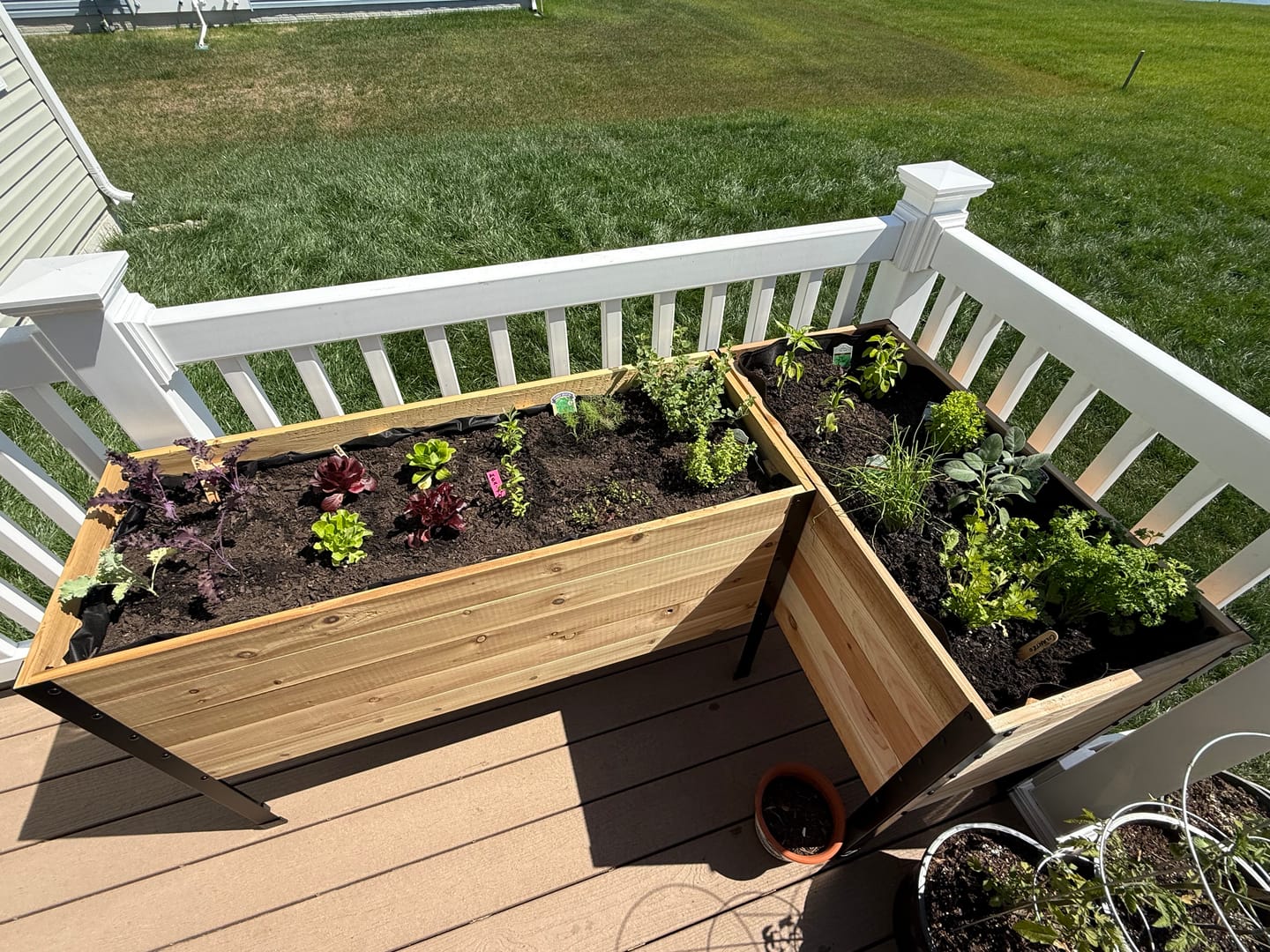 Customer photo review of 18" x 48" Raised Garden Bed - 30" TALL / Garden Grade