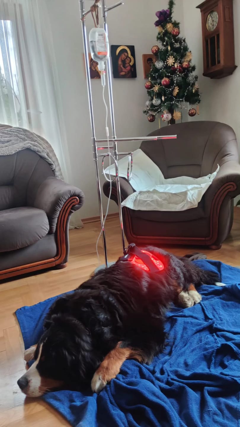 Customer photo review of The Essential