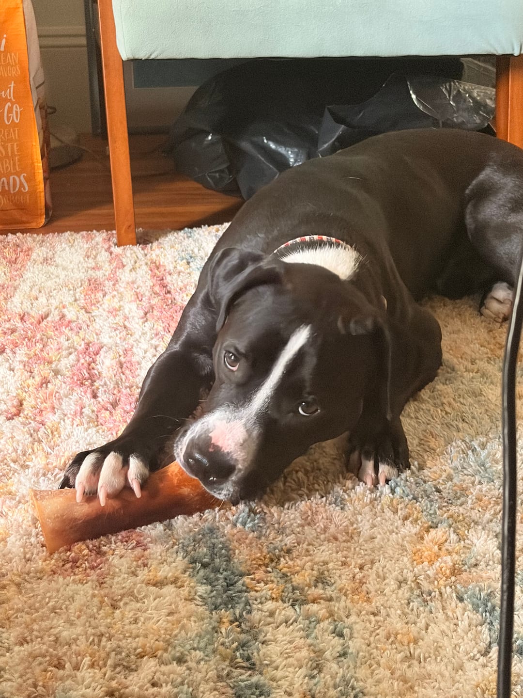 Customer photo review of Mika & Sammy's - Smoked Beef Marrow Singles