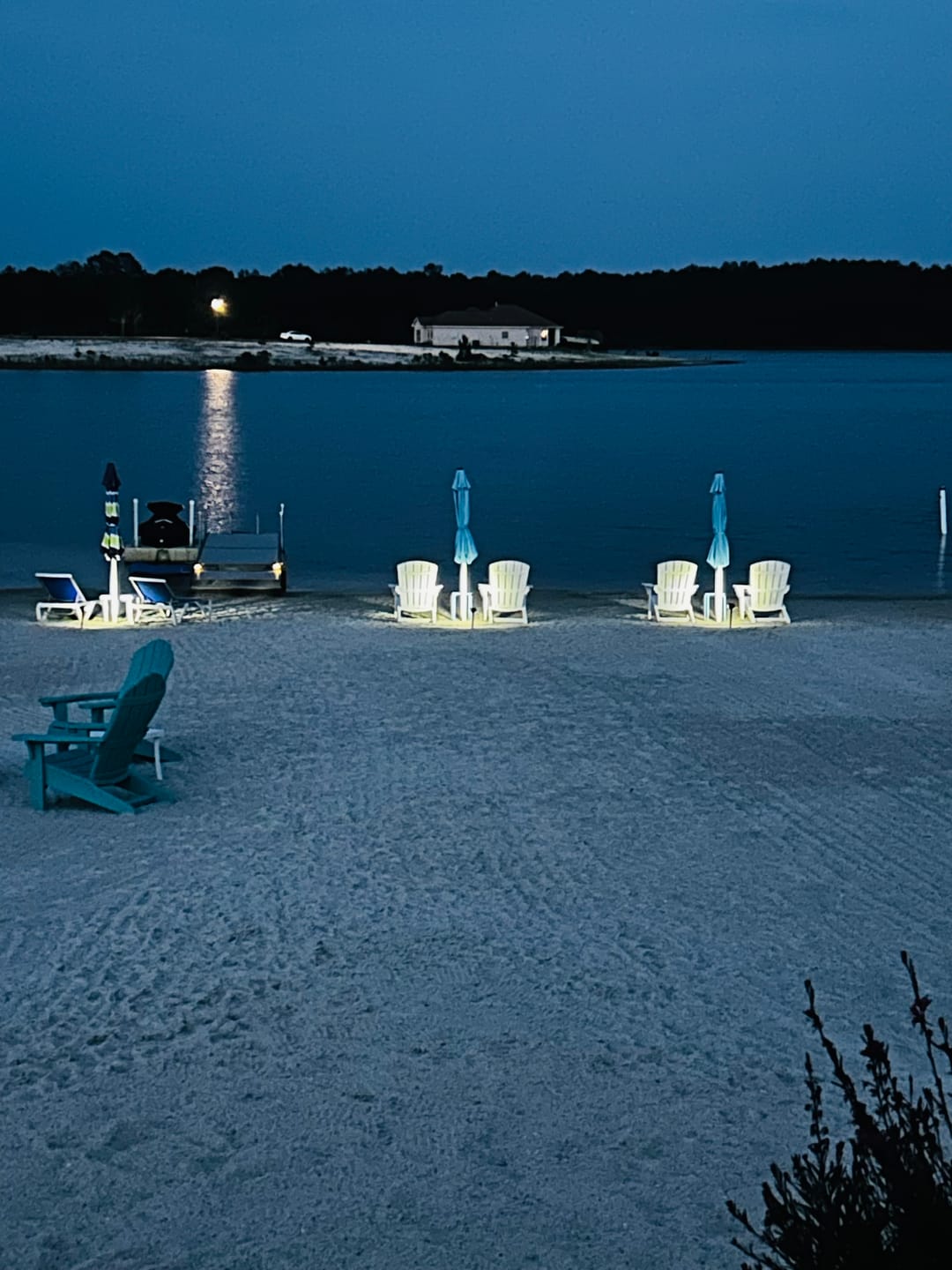 Customer photo review of TSUN Solar Spotlights For Trees Cool White