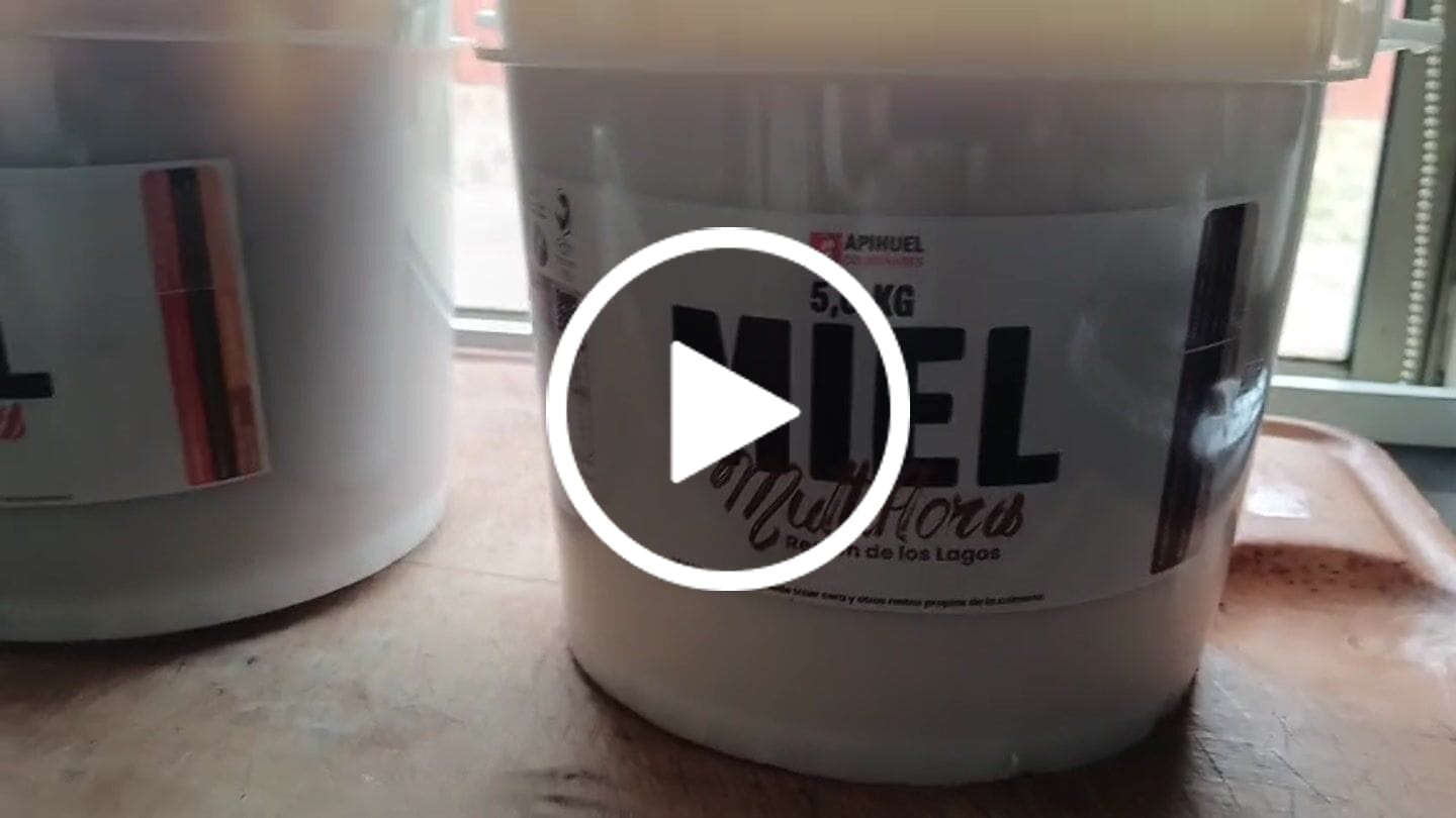 Customer video review of Balde Miel Multiflora de La Región de Los Lagos 5,6 kilos