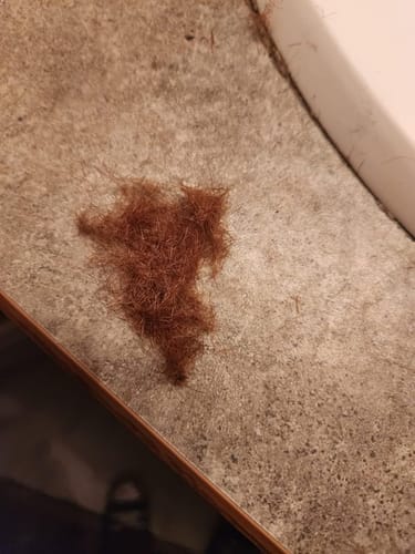 Customer photo review of SilkyTrim – Hårtrimmer för kluvna toppar