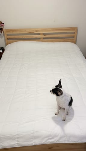 Customer photo review of Tyngdtäcke för vuxna (140x200 cm) – Vakna upp pigg och utvilad varje dag