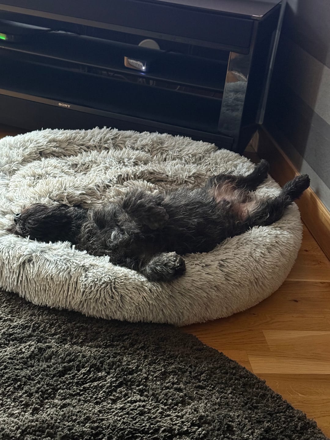 Customer photo review of CalmBed överdrag